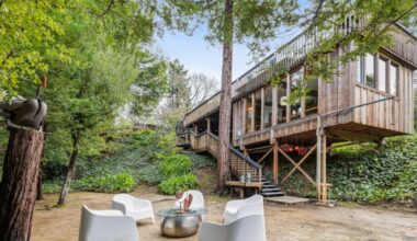 Robert Royston's Marin County House in Photos