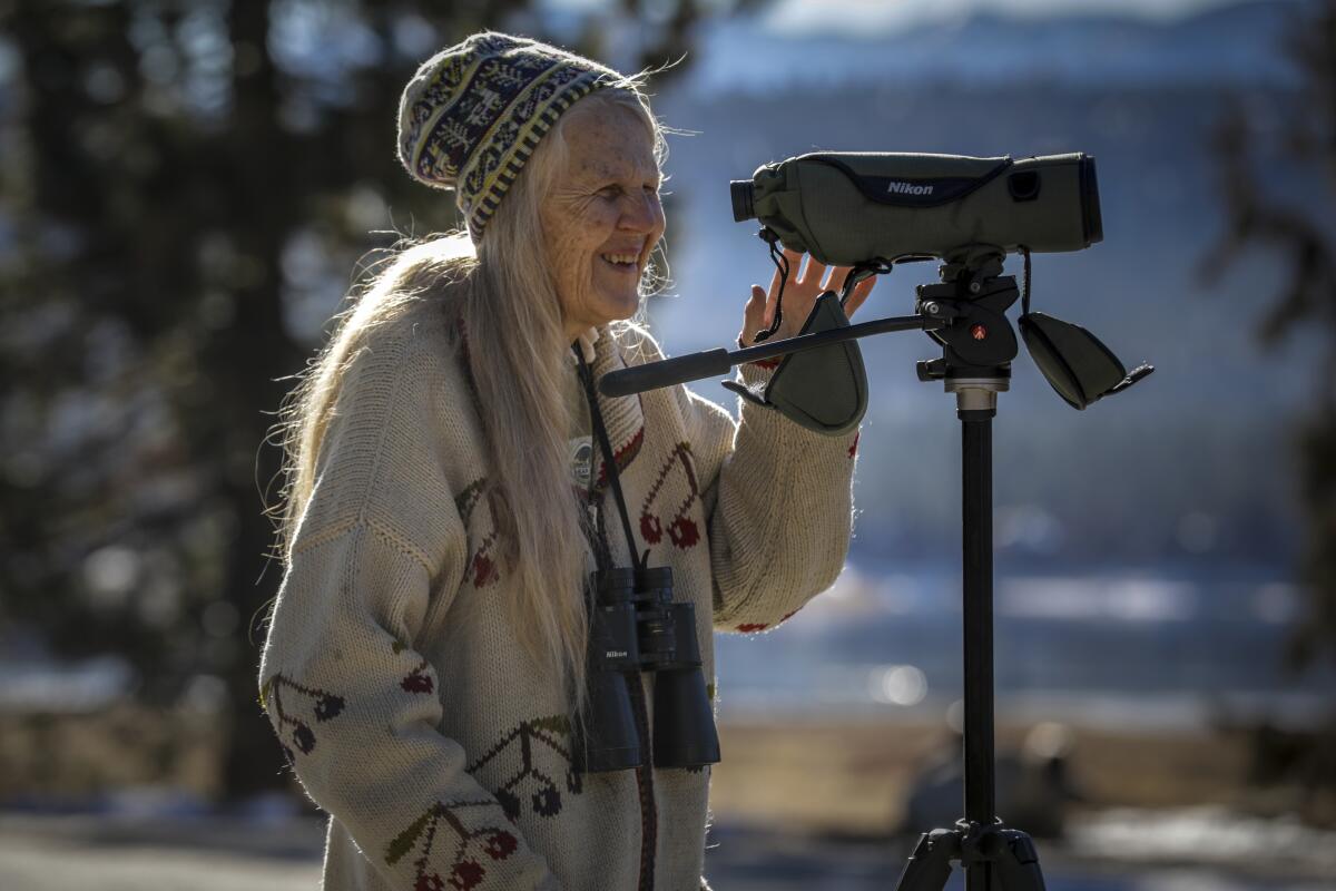 Dec. 2018 photo of Sandy Steers training her binoculars on a pair of nesting bald eagles at Big Bear Lake.