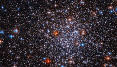 NASA's Hubble telescope detects possible 'dark galaxy'