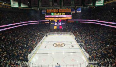 Bruins beat Caps 3-1 in post-deadline disappointment