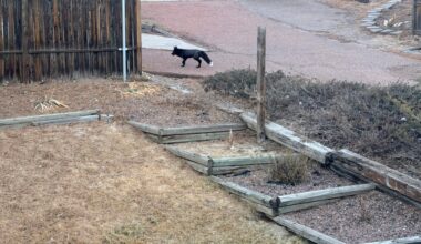 Yahoo lifestyle home