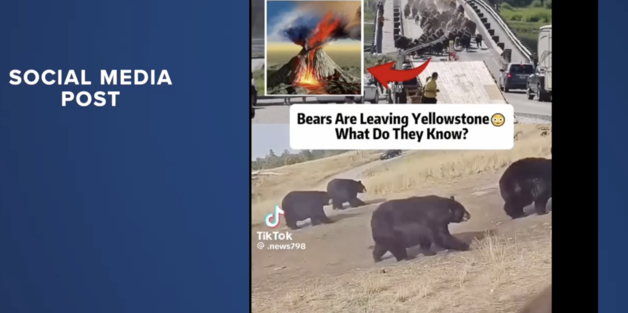 YNP HOAX BEARS LEAVING .png