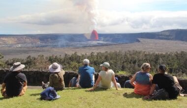 Fox News Lifestyle Newsletter: March 3-10, 2026