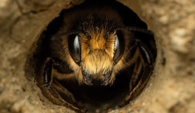 Yahoo lifestyle home