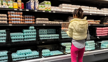 February inflation breakdown: What prices rose and fell the most?