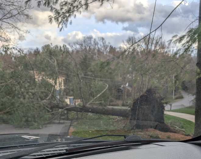Tree down on Hays Road in Upper St. Clair