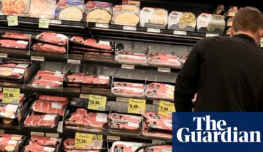 ‘Everything is going up’: Americans struggle with affordability despite Trump’s claims | Business