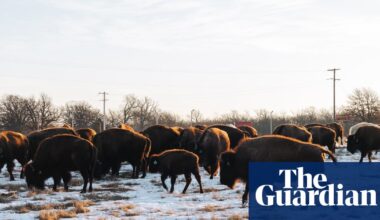 Mining made this US tribal area a toxic wasteland. This Indigenous nation brought it back to life | Native Americans