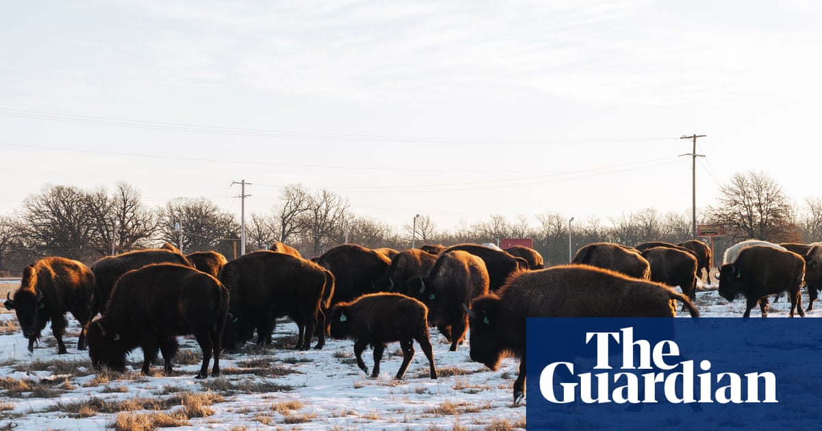 Mining made this US tribal area a toxic wasteland. This Indigenous nation brought it back to life | Native Americans
