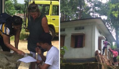 DNA from a tiny but mighty insect could help reveal the timeline for prehistoric humans