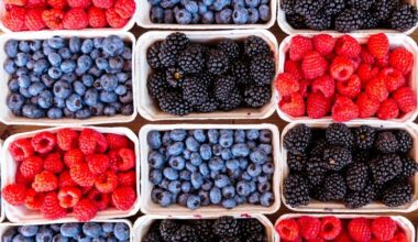 Brain aging slowed by over 2 years with unique diet