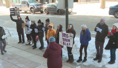Animal activists released from jail after Ridglan Farms break-in