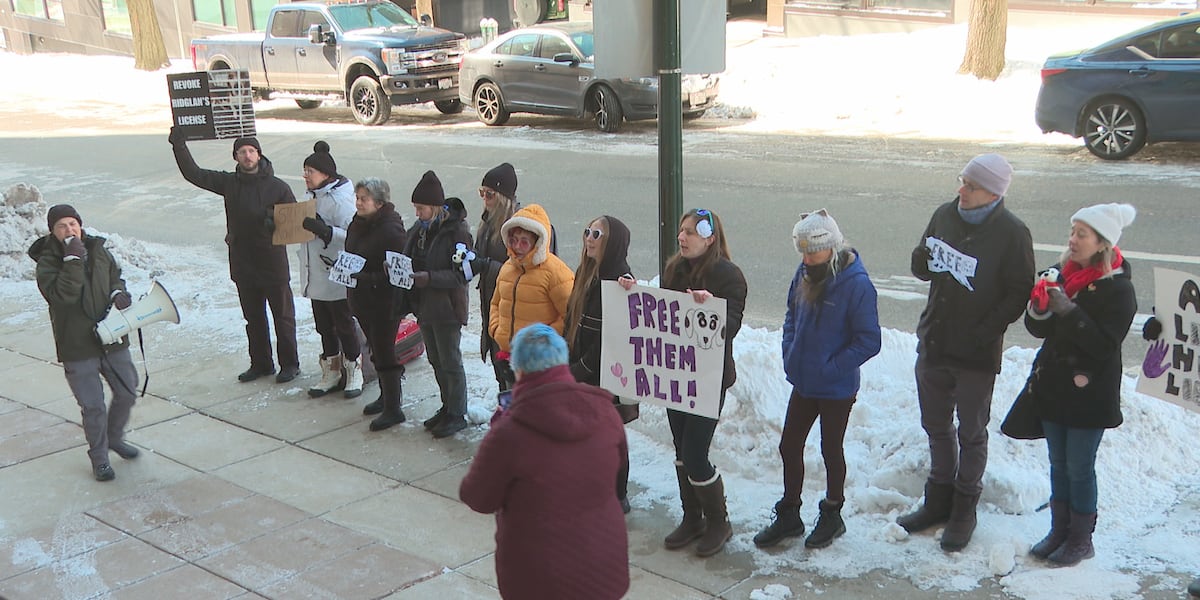 Animal activists released from jail after Ridglan Farms break-in