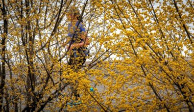 'Intense' allergy season ahead due to Long Island's wet winter, doctors say