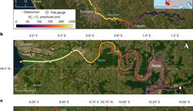Observing the tidal pulse of rivers from wide-swath satellite altimetry