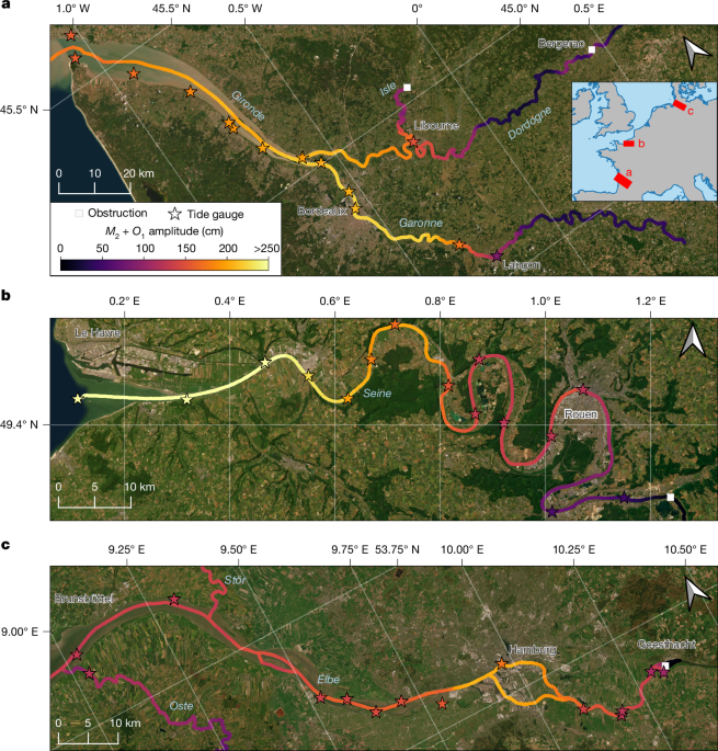 Observing the tidal pulse of rivers from wide-swath satellite altimetry