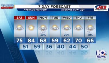 Spring is Here, but so is the Pollen!