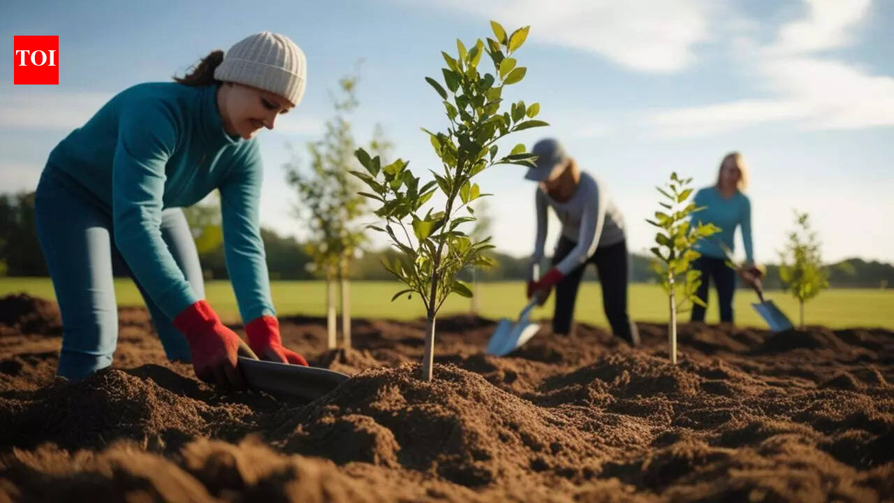 Think planting trees will save the planet from global warming? Science says it’s not that simple |