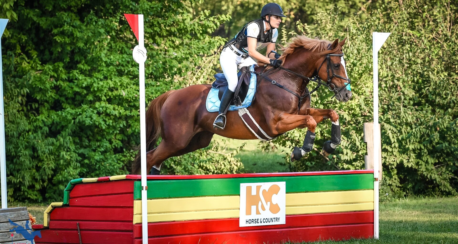 Horse & Country and EquiReel Partner with USEA to Deliver…