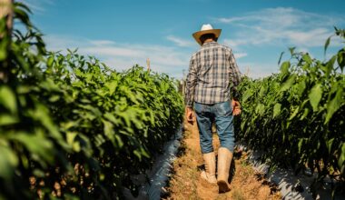 Study links common chemical to elevated Parkinson’s disease risk