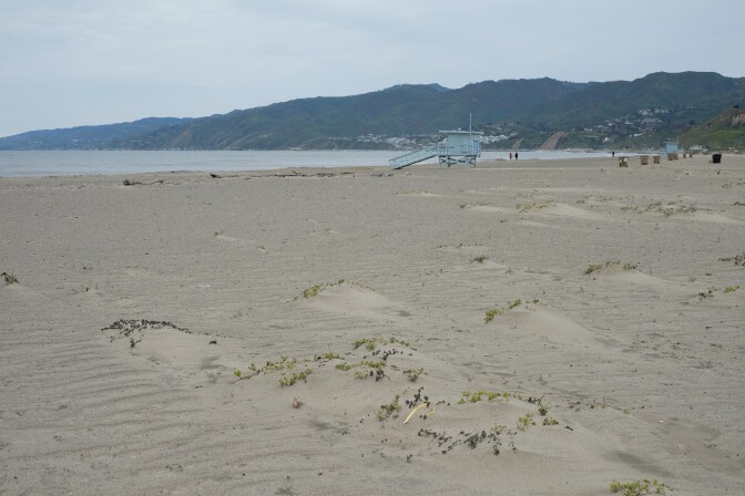 Small dunes in the foreground with a lifeguard tower and sandy beach and coastal mountains behind.