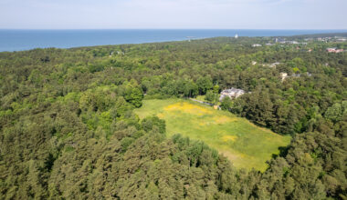 Architectural Concept Design Competition for the “House of Arts” Gallery in Palanga