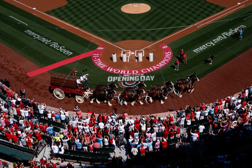 The Budweiser Clydesdales trot to “Here Comes the King” before the St. Louis Cardinals take on the Tampa Bay Rays during MLB Opening Day on Thursday, March 26, 2026, in downtown St. Louis.