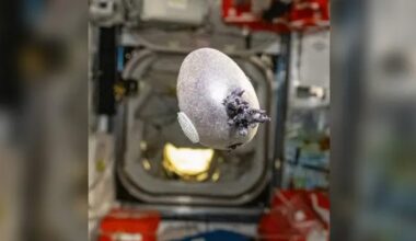 See it: NASA astronaut shares photo of egg-shaped object with tentacles growing on International Space Station