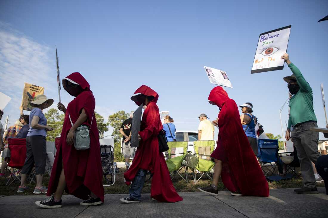 People dressed as characters from author Margaret Atwood's "The Handmaid's Tale," were among the thousands who came to U.S. 41 and Daniels Parkway in Fort Myers Saturday for the third No Kings protest rally. Similar events were held in various Southwest Florida sites, other parts of the state and across the United States and the world.