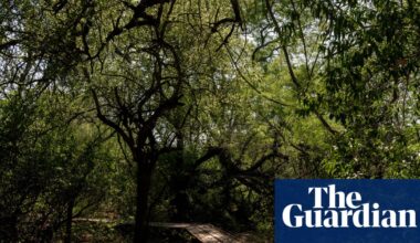 How weaving, glamping and kayak tours are helping to tackle deforestation in Argentina’s Gran Chaco | Global development
