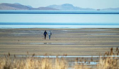 University of Utah researchers discover freshwater reservoir under Great Salt Lake
