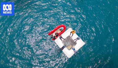 Hand-raised baby corals bring hope of restoring Great Barrier Reef