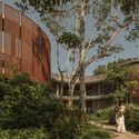 Building with Trees: Rethinking Architecture’s Relationship to Site - Image 5 of 13