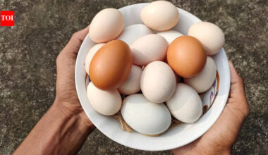 What happens when you eat eggs daily for 14 days