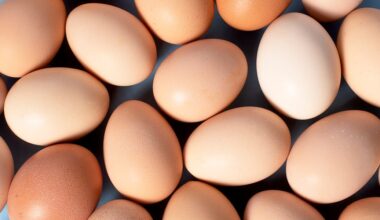 Healthy, Delicious Meals on a Budget