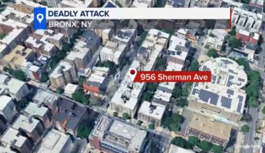 Mother killed, teenage son hurt after being stabbed inside their apartment in the Bronx