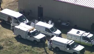 300 cats, dogs being rescued after search warrant served at Lake Hughes property