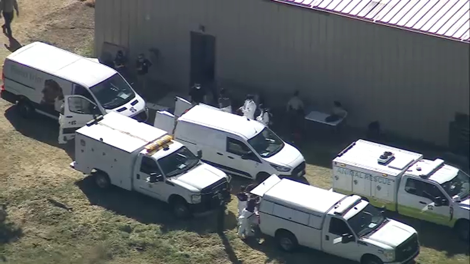 300 cats, dogs being rescued after search warrant served at Lake Hughes property