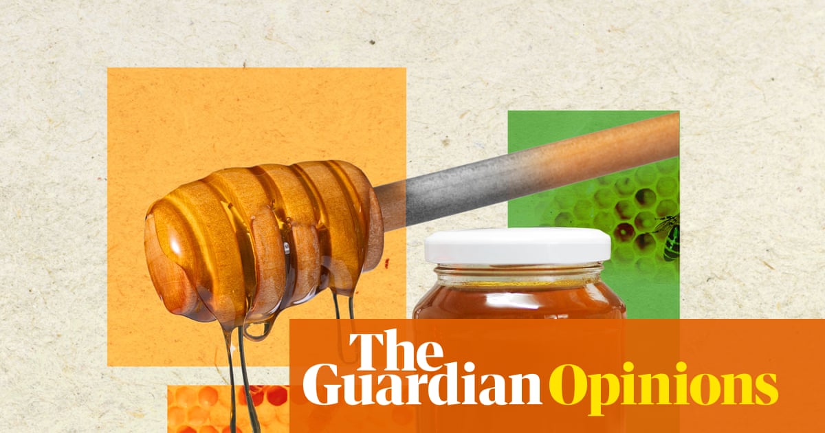 Honey as a superfood: can it really heal wounds, fight superbugs and provide sweet relief for coughs? | Donna Lu