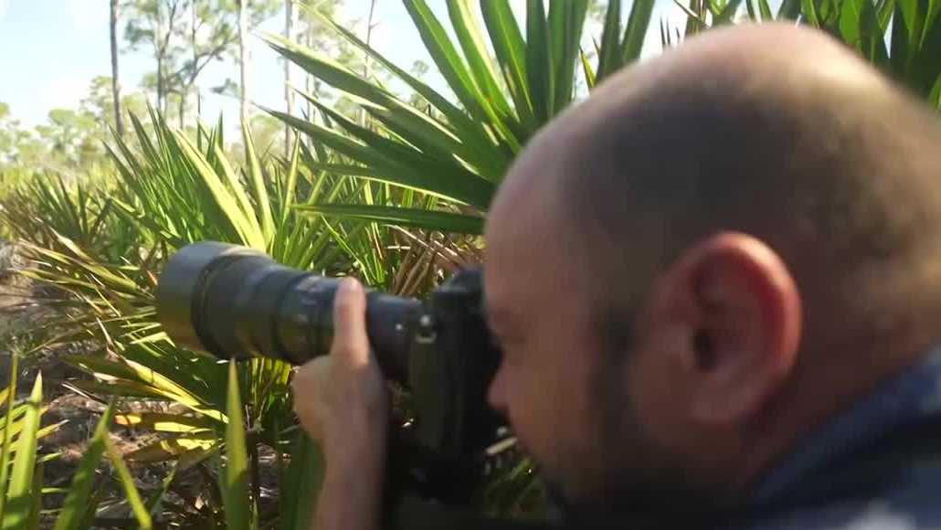 Photographer finds purpose in Florida's nature