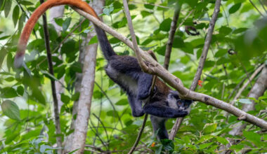 Yahoo lifestyle home