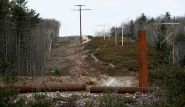 NECEC conservation plan will not protect Maine’s mature forests