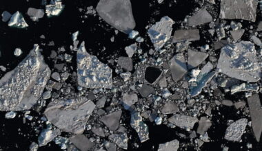 Warm January surprises Nuuk residents