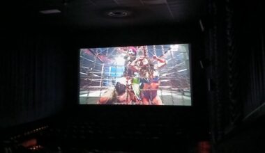 Elimination Chamber draws small crowd, big pops at local cinema