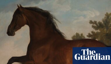 Hockney scrolls through Bayeux, Brideshead gets revisited and Stubbs leads the field – the week in art | Art and design