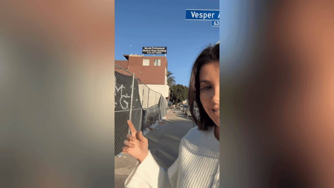 Valley assemblywoman finds 197 hospice agencies registered at one LA address