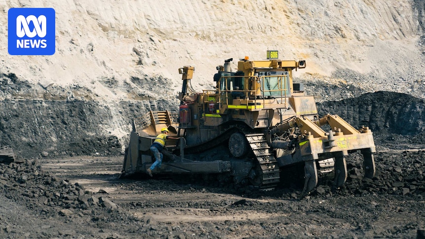 Botanist gave early warning on rehab difficulties for troubled Griffin Coal's Collie mine site