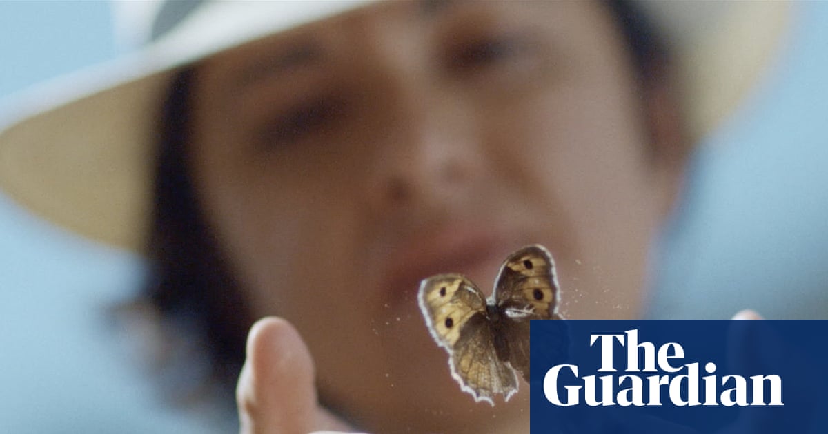 Four wives, two passports and a very elusive butterfly: one woman’s search for her lepidopterist father | Documentary films