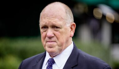 Border czar says ICE may not leave airports once TSA officers are paid