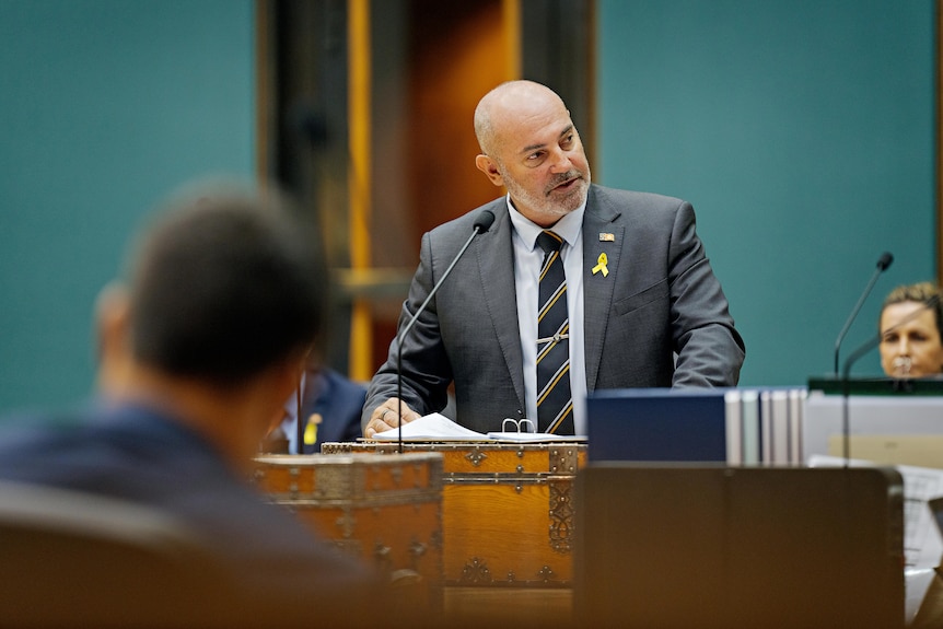 A man in a suit and tie standing up and speaking, inside a parliamentary chamber.